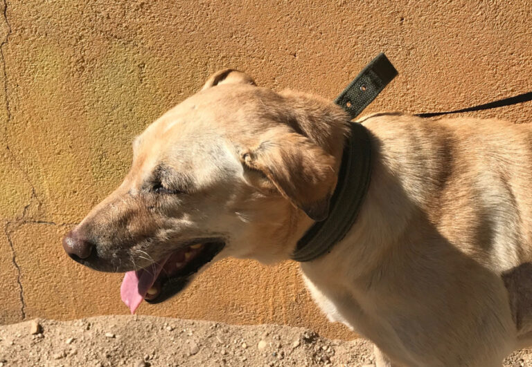 multimedia-foto57427-797-1