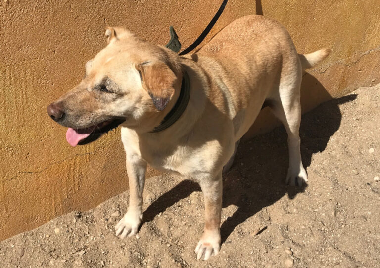 multimedia-foto57428-798-1