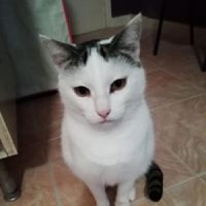 multimedia-foto57437-489-1