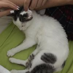 multimedia-foto57438-489-1