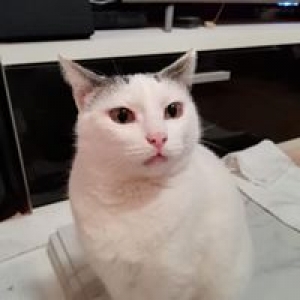 multimedia-foto57439-489-1