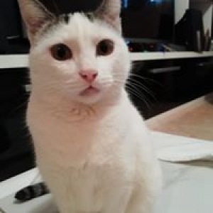 multimedia-foto57440-489-1