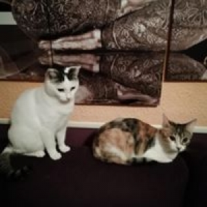 multimedia-foto57441-489-1