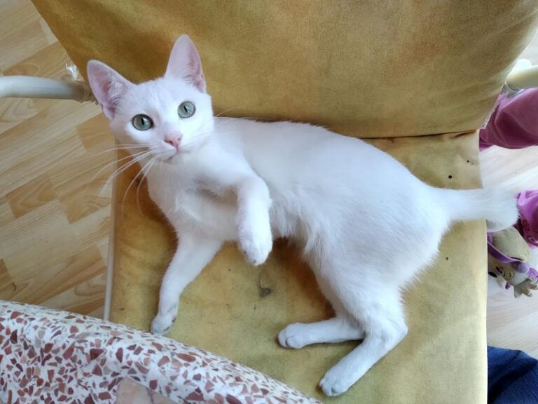 multimedia-foto57473-488-1