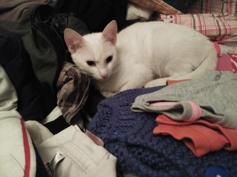 multimedia-foto57474-488-1