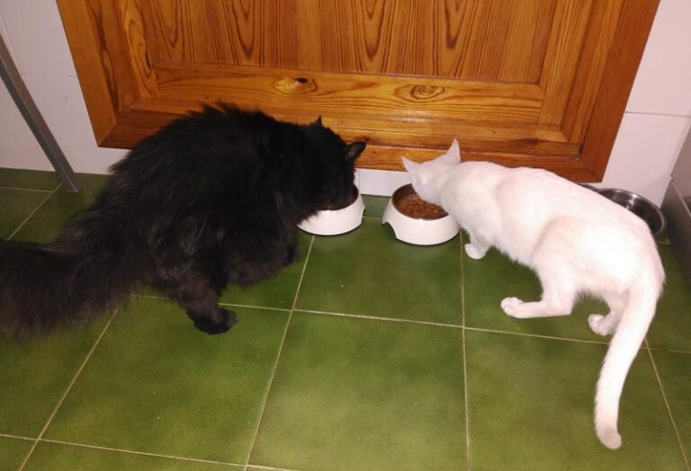 multimedia-foto57476-488-1