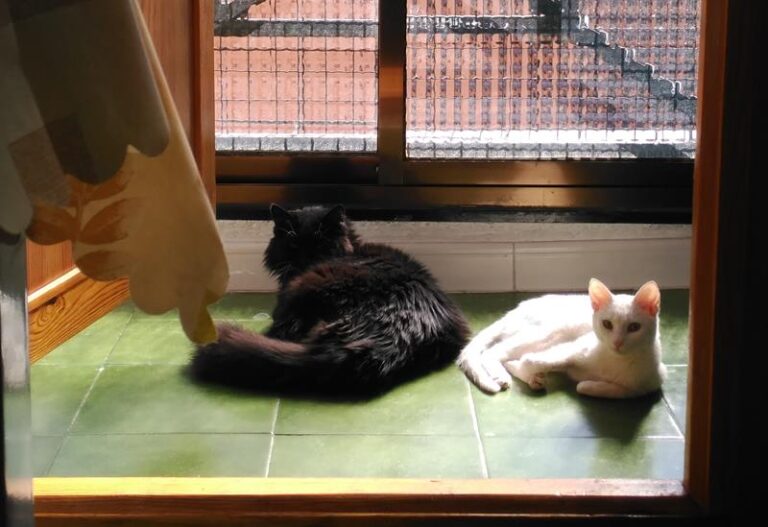 multimedia-foto57477-489-1