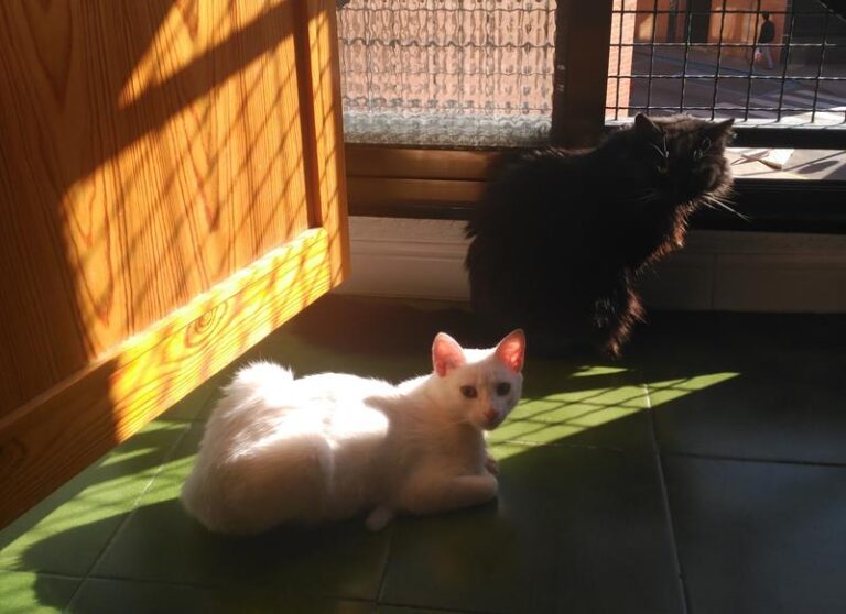 multimedia-foto57478-489-1