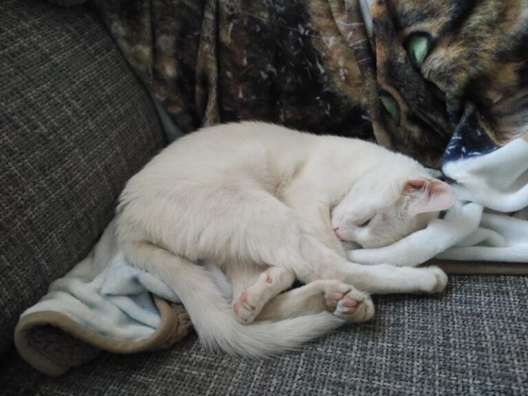 multimedia-foto57481-543-1