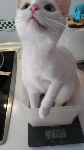 multimedia-foto57482-543-1