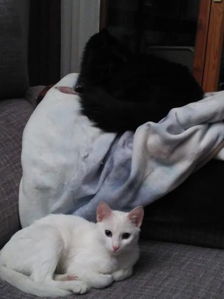 multimedia-foto57483-544-1