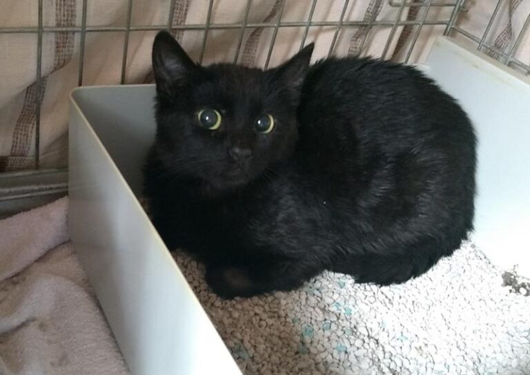 multimedia-foto57490-791-1