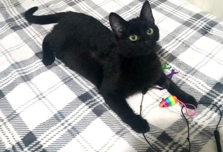 multimedia-foto57491-791-1