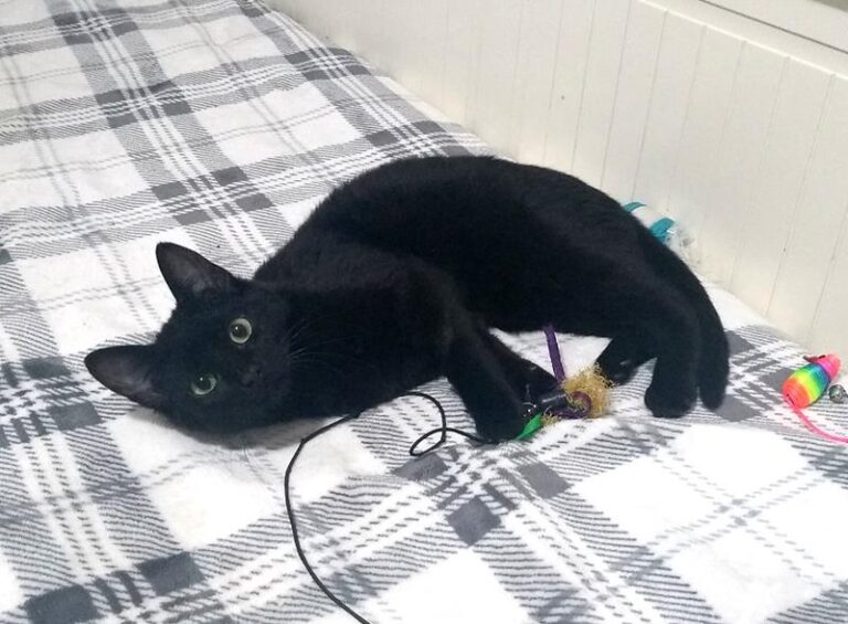 multimedia-foto57493-791-1