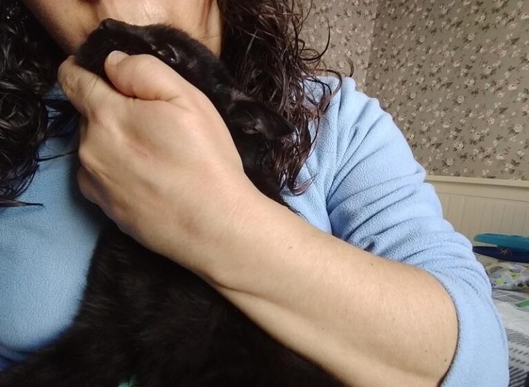 multimedia-foto57494-792-1