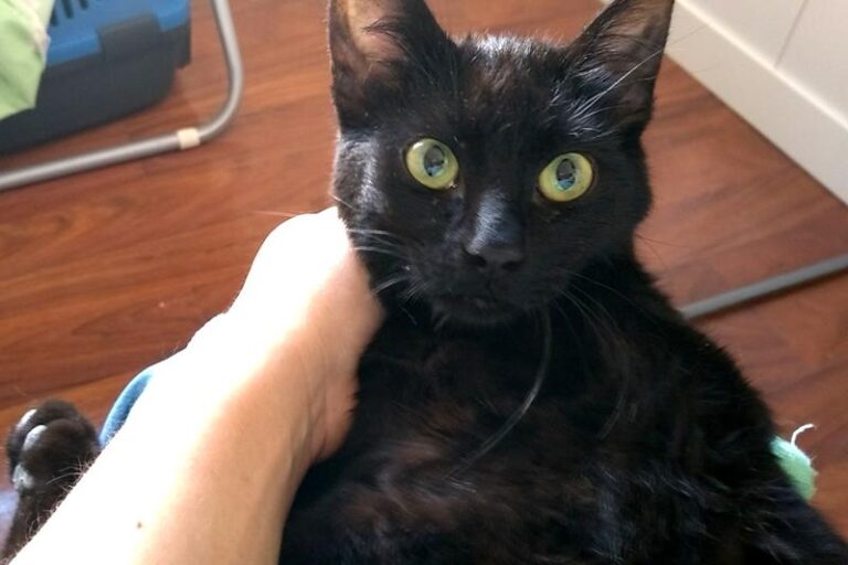 multimedia-foto57495-792-1