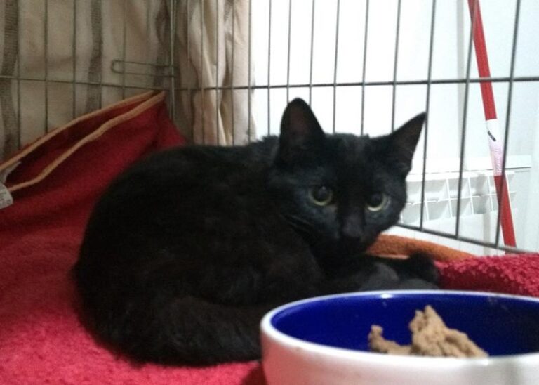 multimedia-foto57496-792-1