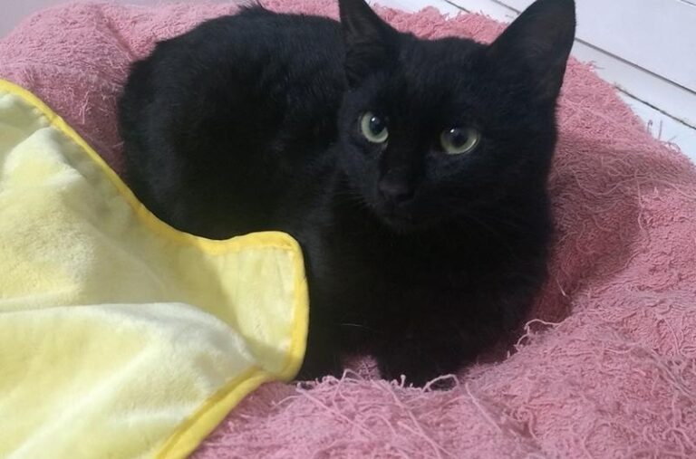 multimedia-foto57498-792-1