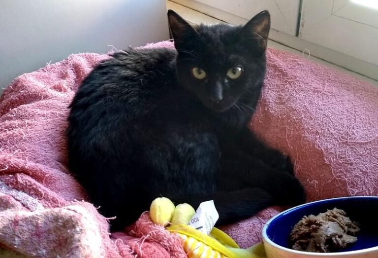 multimedia-foto57499-792-1