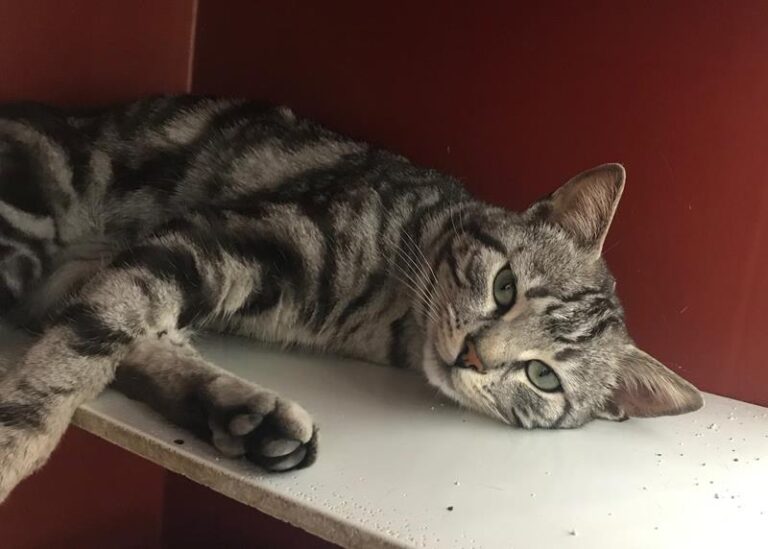 multimedia-foto57527-942-1