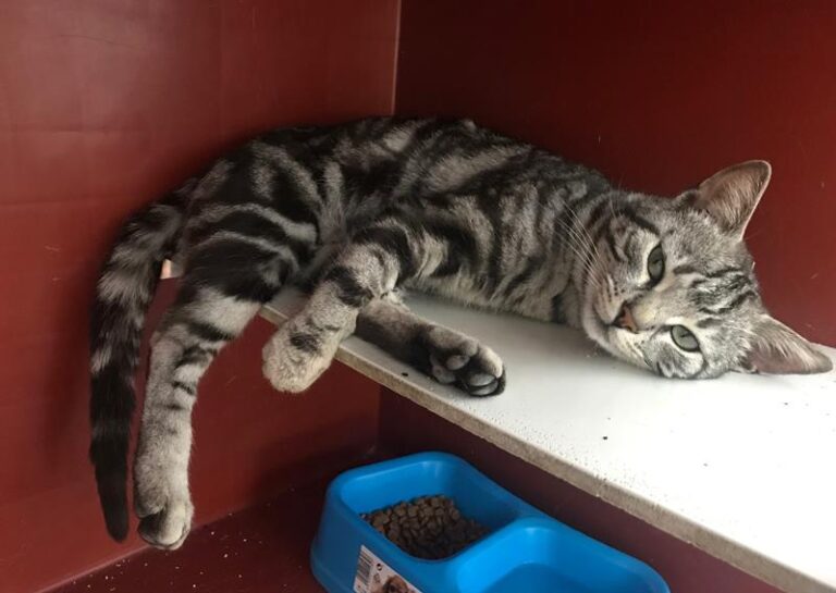 multimedia-foto57528-942-1