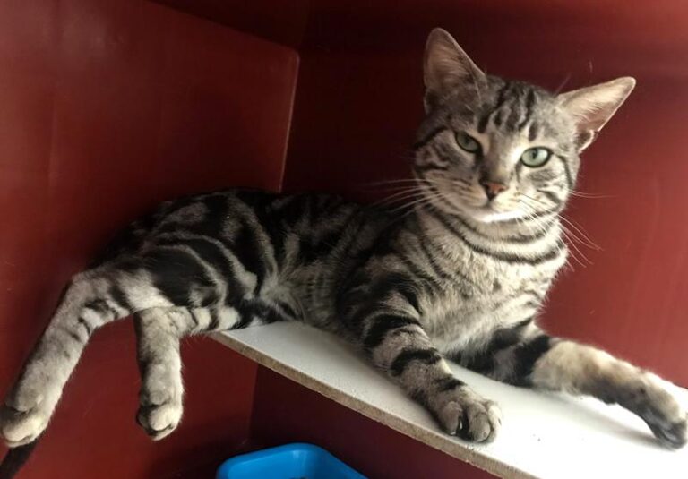 multimedia-foto57529-942-1