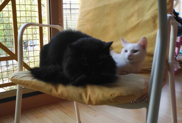 multimedia-foto57543-718-1