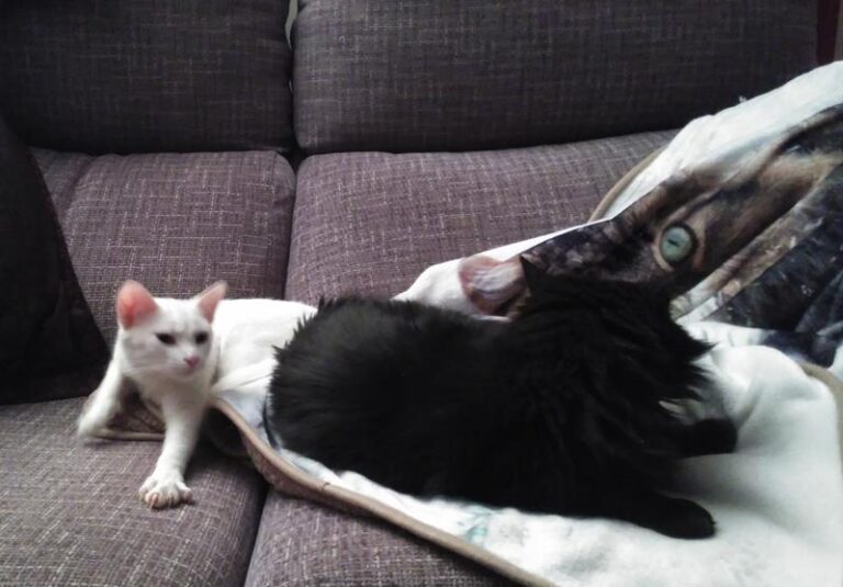 multimedia-foto57544-719-1