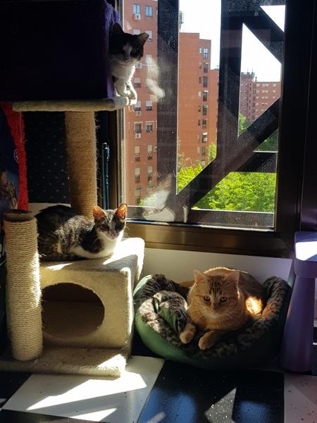 multimedia-foto57545-388-1