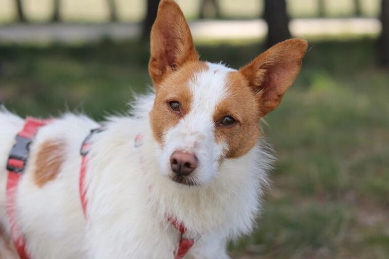 multimedia-foto57557-942-1