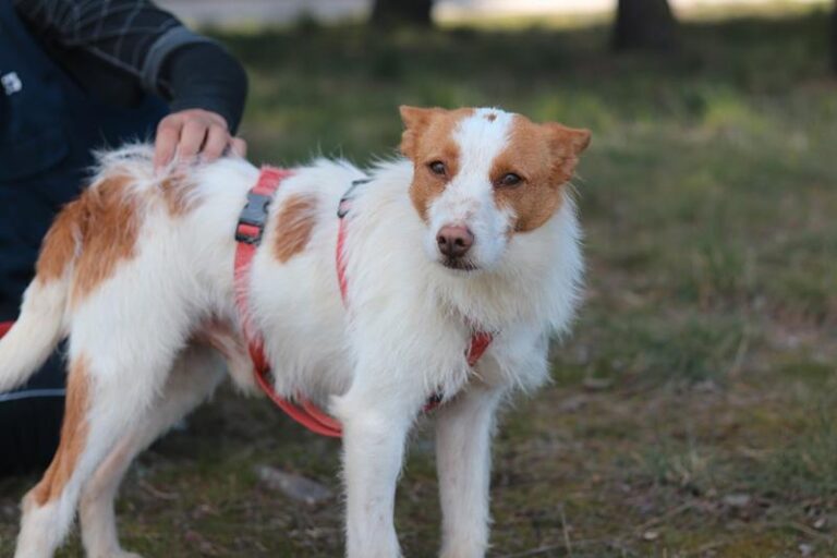 multimedia-foto57558-942-1