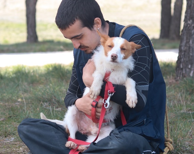 multimedia-foto57560-943-1