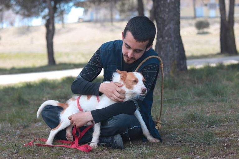 multimedia-foto57562-943-1