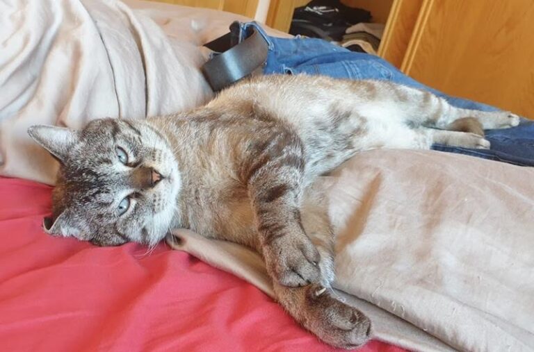 multimedia-foto57590-705-1