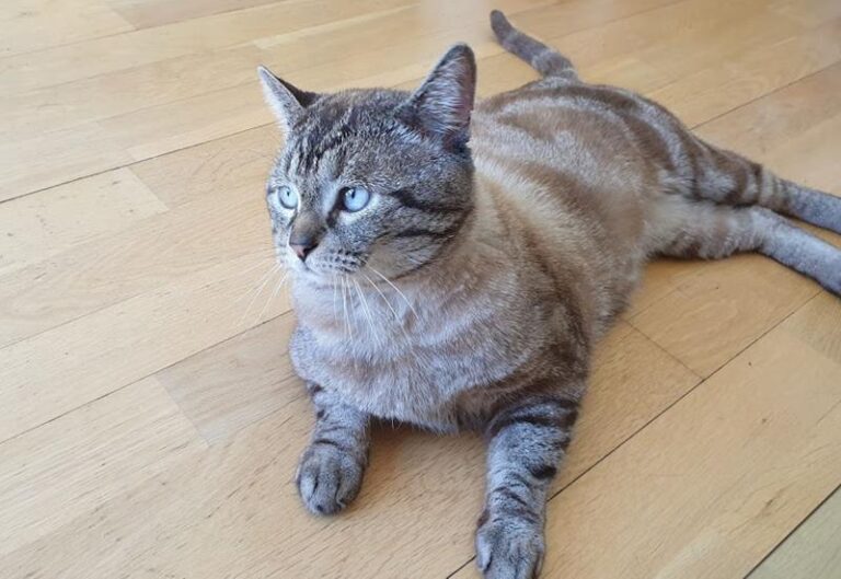 multimedia-foto57591-705-1