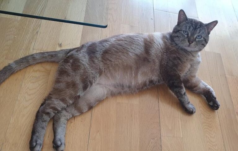 multimedia-foto57592-706-1