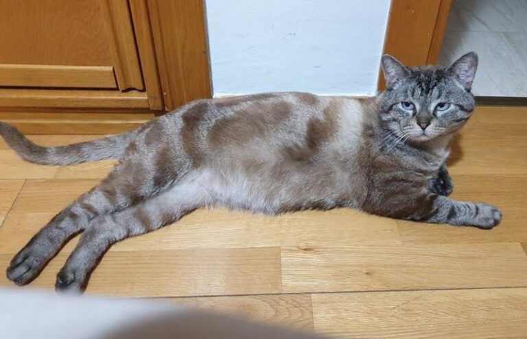 multimedia-foto57593-706-1