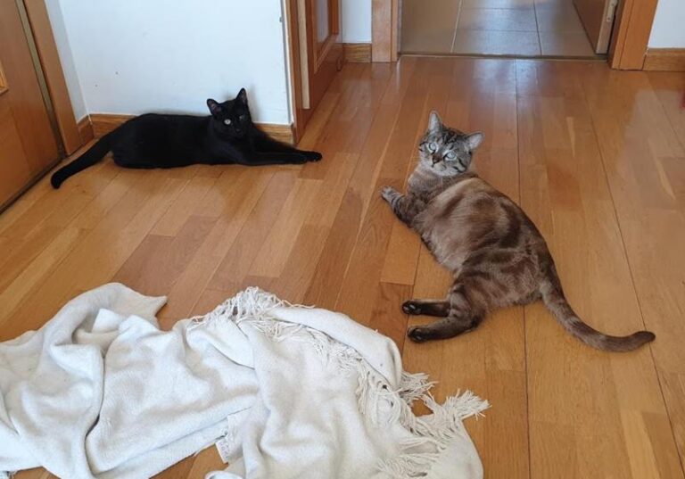 multimedia-foto57594-706-1