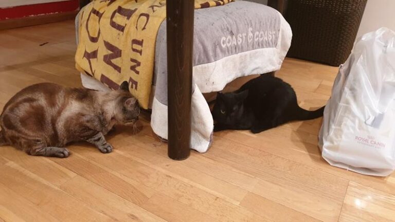 multimedia-foto57595-706-1