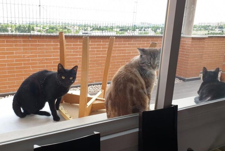 multimedia-foto57596-706-1