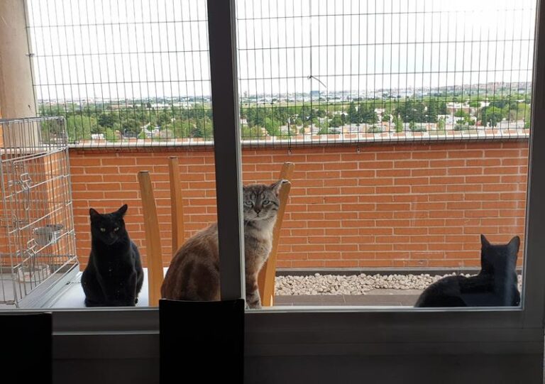 multimedia-foto57597-707-1