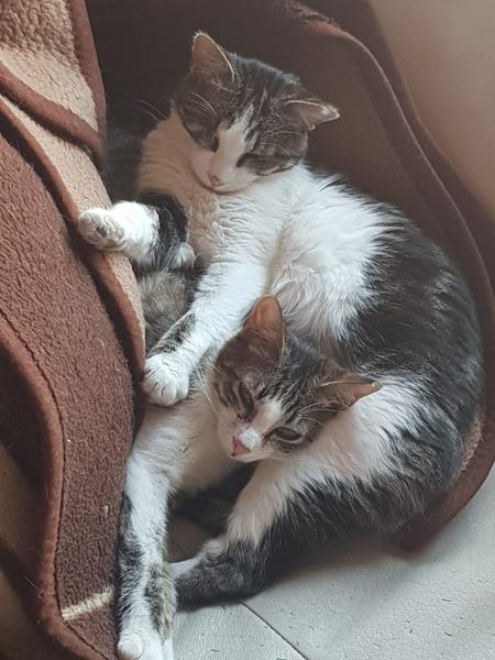 multimedia-foto57625-59-1