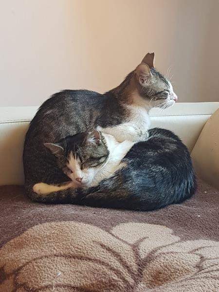 multimedia-foto57626-59-1