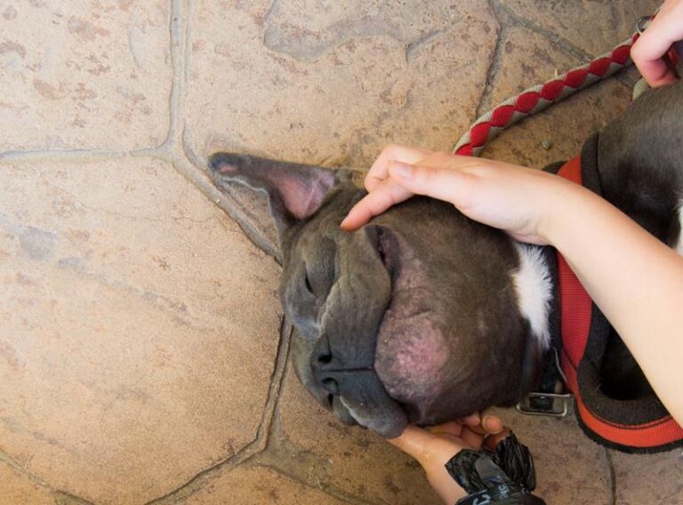 multimedia-foto57629-709-1