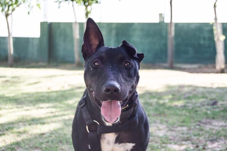 multimedia-foto57630-710-1