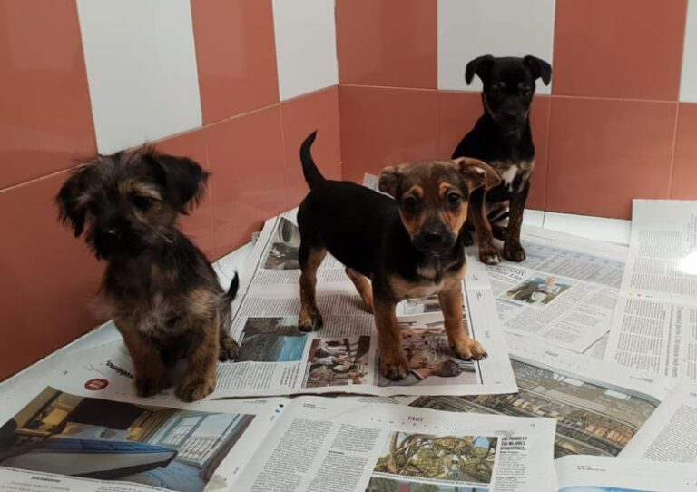 multimedia-foto57648-345-1