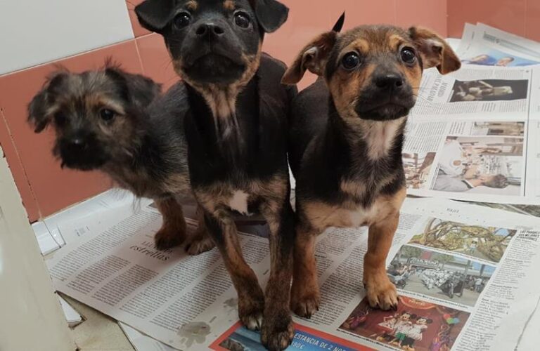 multimedia-foto57656-560-1