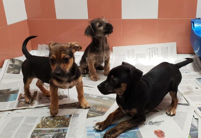 multimedia-foto57657-560-1