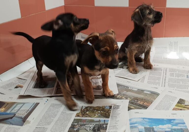 multimedia-foto57660-560-1