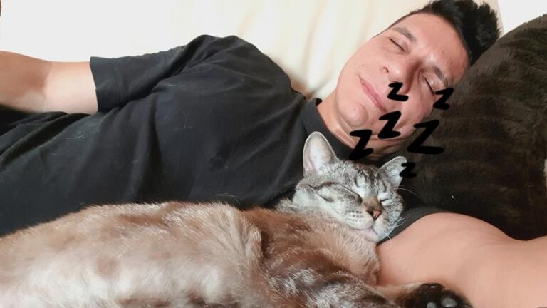 multimedia-foto57692-361-1